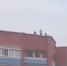 Видео: В Стерлитамаке на улице Суханова подростки бросали камни с крыши многоэтажки - Sterlitamak.Ru
