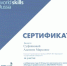 Студенты колледжа СФ БашГУ – в 10-ке лучших участников VI открытого регионального чемпионата «Молодые профессионалы» (WorldSkillsRussia) - Стерлитамакский филиал БашГУ