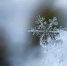 snowflake-1245748_1920 - Cityopen.ru