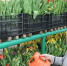 rhNcWD_ouAA - Cityopen.ru