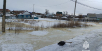 WhatsApp Image 2025-03-10 at 16.11.54 - Cityopen.ru