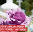 пост 1 - Cityopen.ru