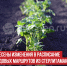 пост 3 - Cityopen.ru