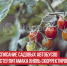 пост 2 - Cityopen.ru