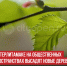 пост 9 - Cityopen.ru