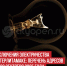 пост 5 - Cityopen.ru