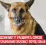 пост 5 - Cityopen.ru