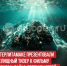 пост 9 - Cityopen.ru