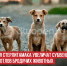 пост 4 - Cityopen.ru