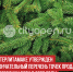 пост 7 - Cityopen.ru