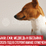 пост 5 - Cityopen.ru