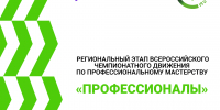 СФ УУНиТ вновь стал площадкой Всероссийского чемпионата «Профессионалы» - Стерлитамакский филиал БашГУ