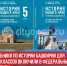 пост 1 - Cityopen.ru