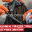 пост 6 - Cityopen.ru