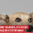 пост 4 - Cityopen.ru