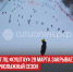пост 1++ - Cityopen.ru