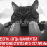 пост 4 - Cityopen.ru
