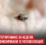 пост 5 - Cityopen.ru