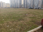 Экологический субботник
