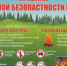 Важность соблюдения правил пожарной безопасности в лесах - Отдел образования