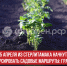 пост 5 - Cityopen.ru